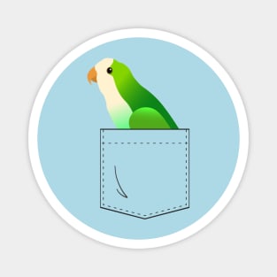 Quaker Parrot Monk Parakeet In Your Front Pocket Magnet